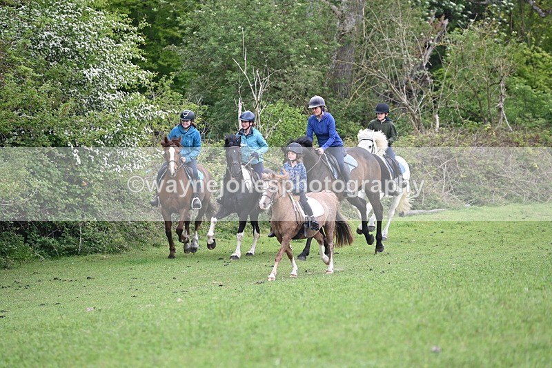 WJ6_2949 - A Camera