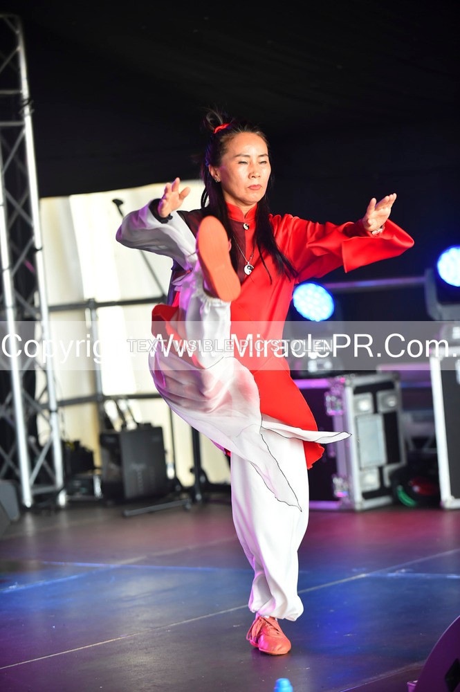 SH4_1474 - Tai Chi with Lisa Kay.