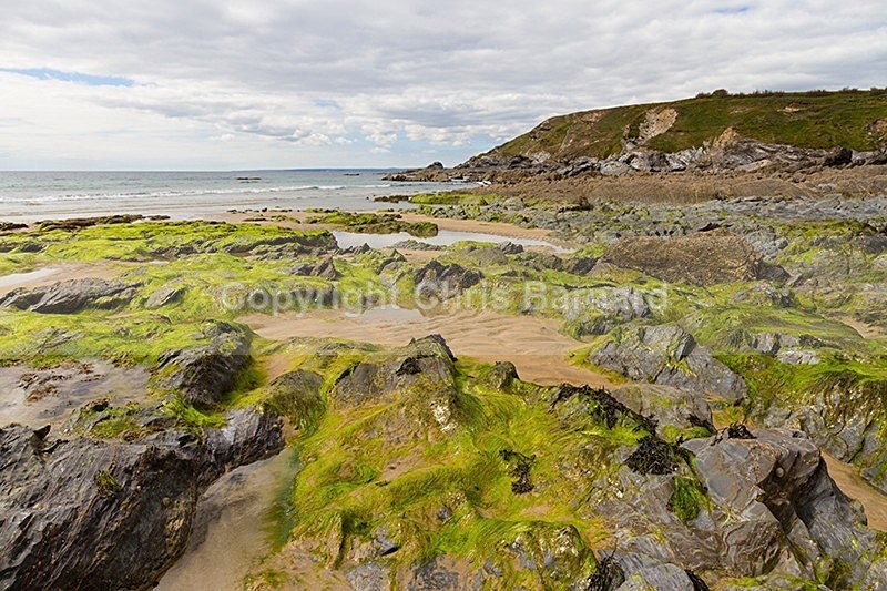  - Dollar Cove Gunwalloe
