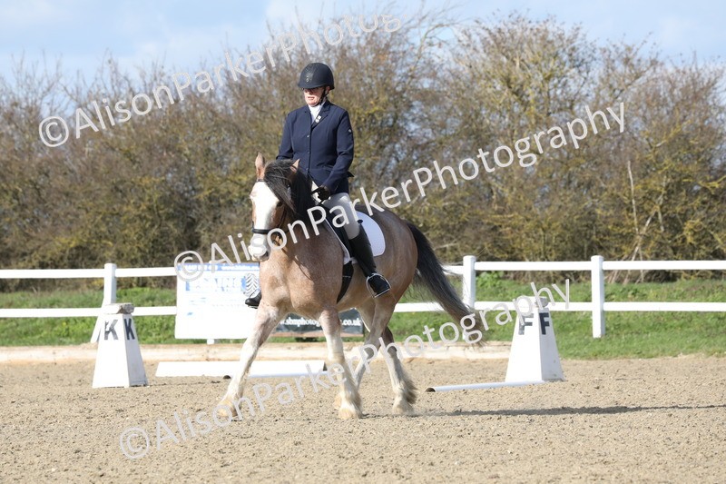 20260314-5004 - CT6 - Elementary 1