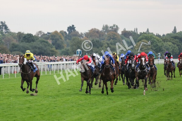 yr09102021r7-19 - Race 7 5.00pm Coral Proud Sponsors Of British Racing Finale Handicap