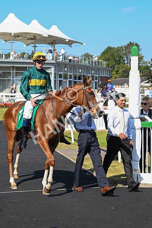 300824-Race 2-Consent-5765 - Race 2