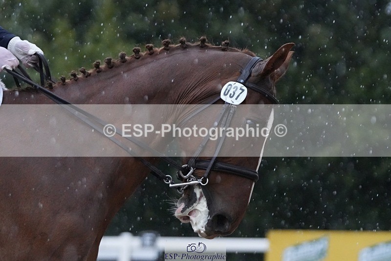 250907-082006-05417 - 037-Anna.PriceMajor.Flyer