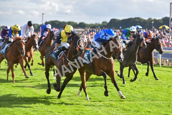 yr19082022r7-41 - Race 7 5.20pm Sky Bet Mile Stakes