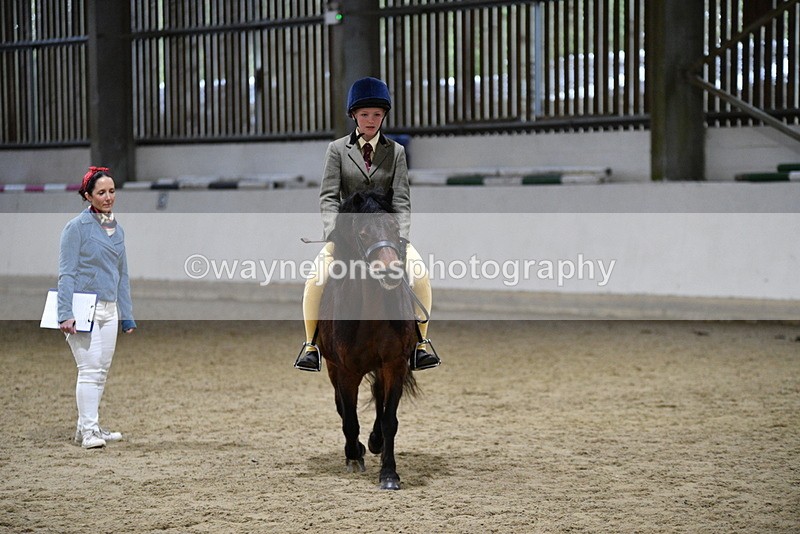 WJ5_8566 - Class 14 Novice Ridden/Rider