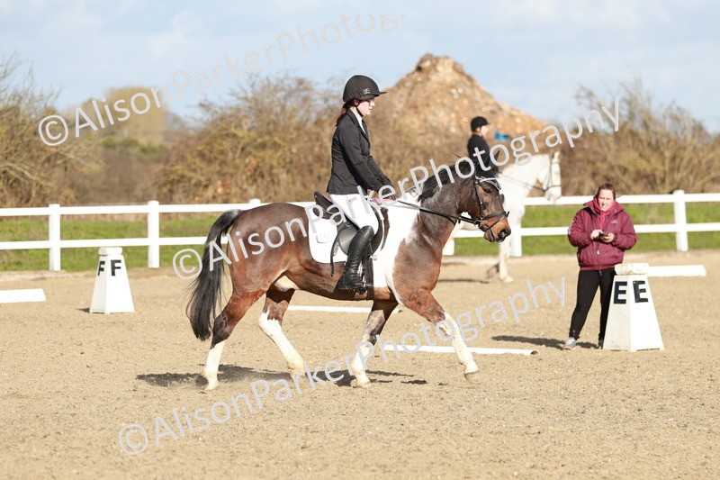 20260314-5291 - DR4 - Prelim 2