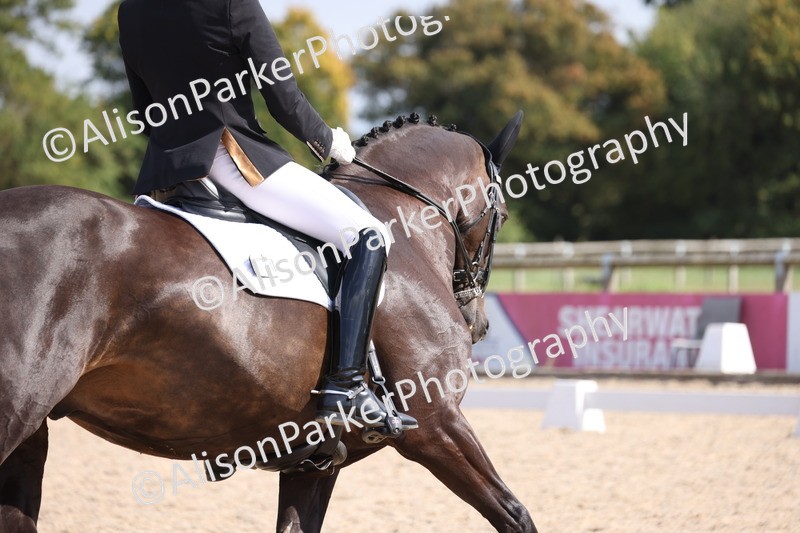 20250820-1342 - Class 19 - Medium 3