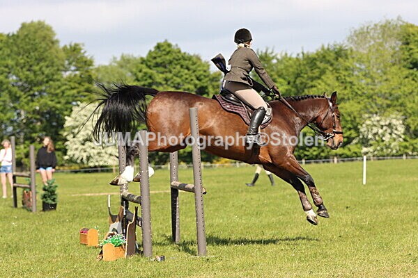 IMG_4792 - Working Hunter