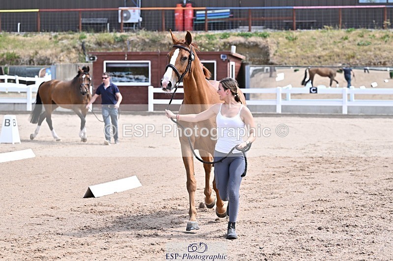 250716-124816-00175 - Trot Up 12.30 to 1.30