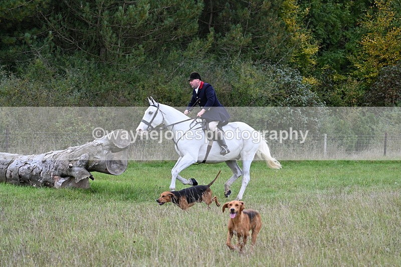 WJ7_3569 - Camera 1 Line 1