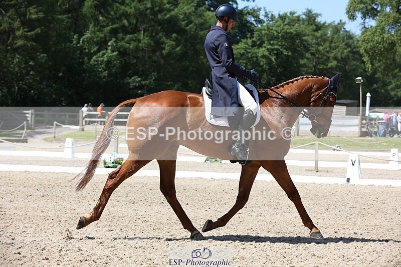 230526-114556-06109 - 156-JUST_PERFECT-Gaspard_Maksud-WEDTrotUp+DR