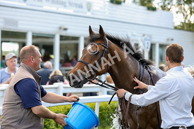080624-Race 5-Gibside-4941 - Race 5