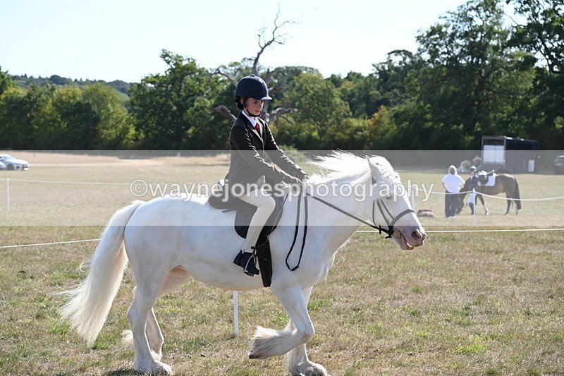 WJ6_7486 - Class 34 Judges Choice