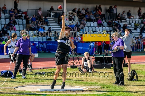 Age25SAT-917683 - Field Male