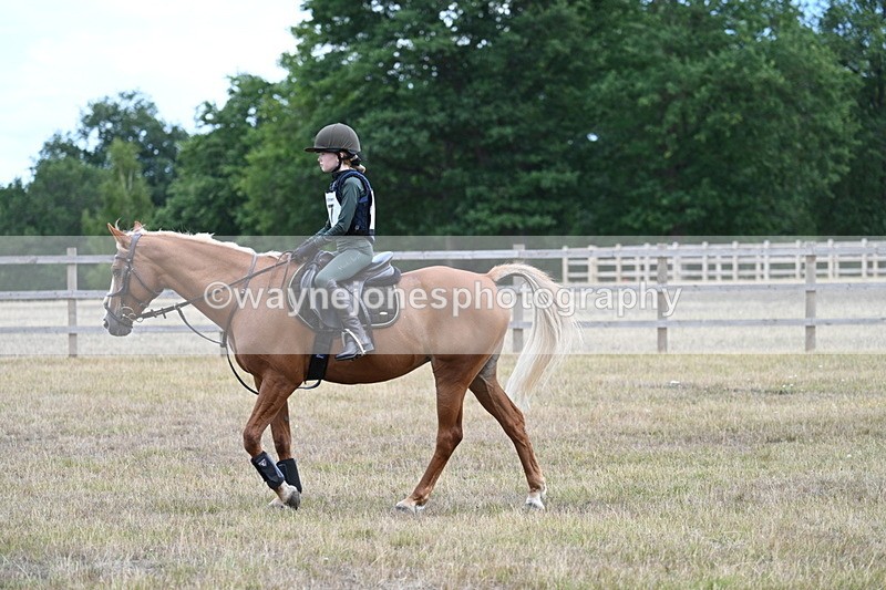 WJ7_1598 - 60cm Time 13:20 to 14:27