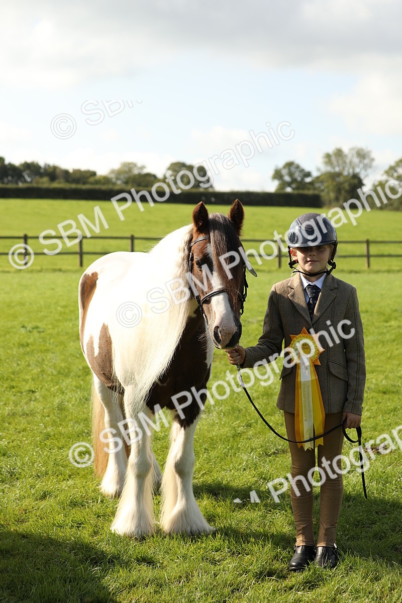 SBM_62364 - S45 - Mini Show Cob In Hand