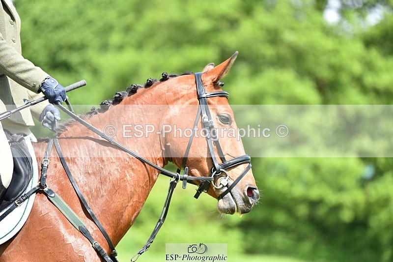 240523B-113246-01996 - 5 Year Old