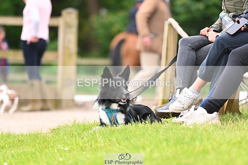 240524-092400-07833 - 505-FLORENCINA_R-Giovanni_Ugolotti