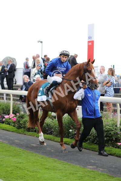yr18082022r6-15 - Race 6 4.45 pm OR8wellness ebfstallions Nursery Handicap