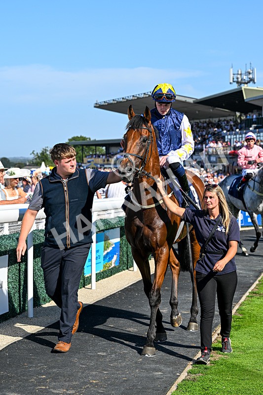 120826-Race 5-Ciao Capo-7050 - Race 5 16.15pm Cayenne Electric At Porsche Centre Hull Handicap