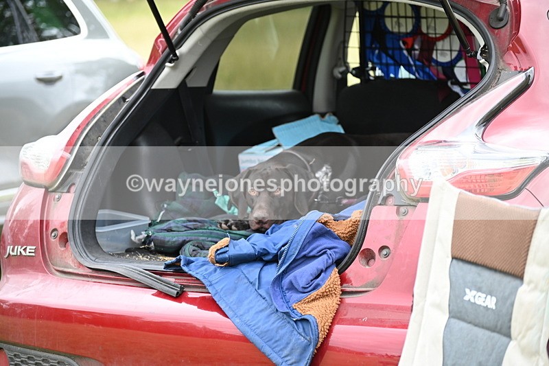 WJ6_4086 - Time at Jump 12:22 to 13:03