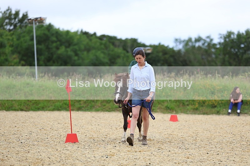 3E7A9535 - Walk trot run