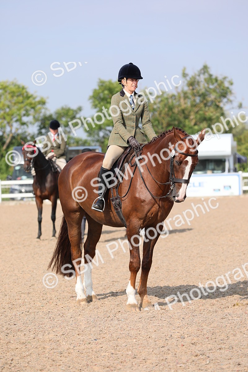 SBM_11373 - Class 305 Ridden Foreign Breeds- Pure Bred