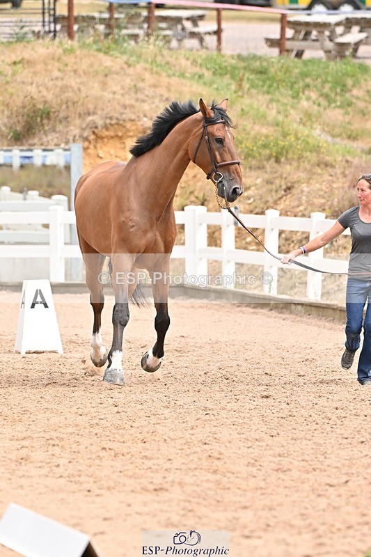 250716-144851-01426 - Trot Up 2.30 to 3.30