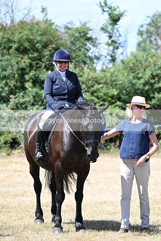 WJ7_3184 - Class 7 Riding Club Show Horse