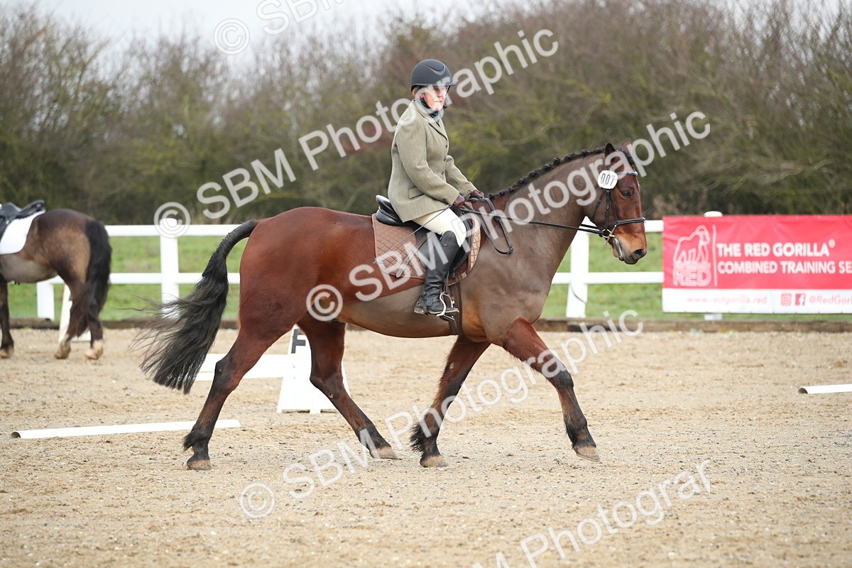 SBM_001081 - Intro 1