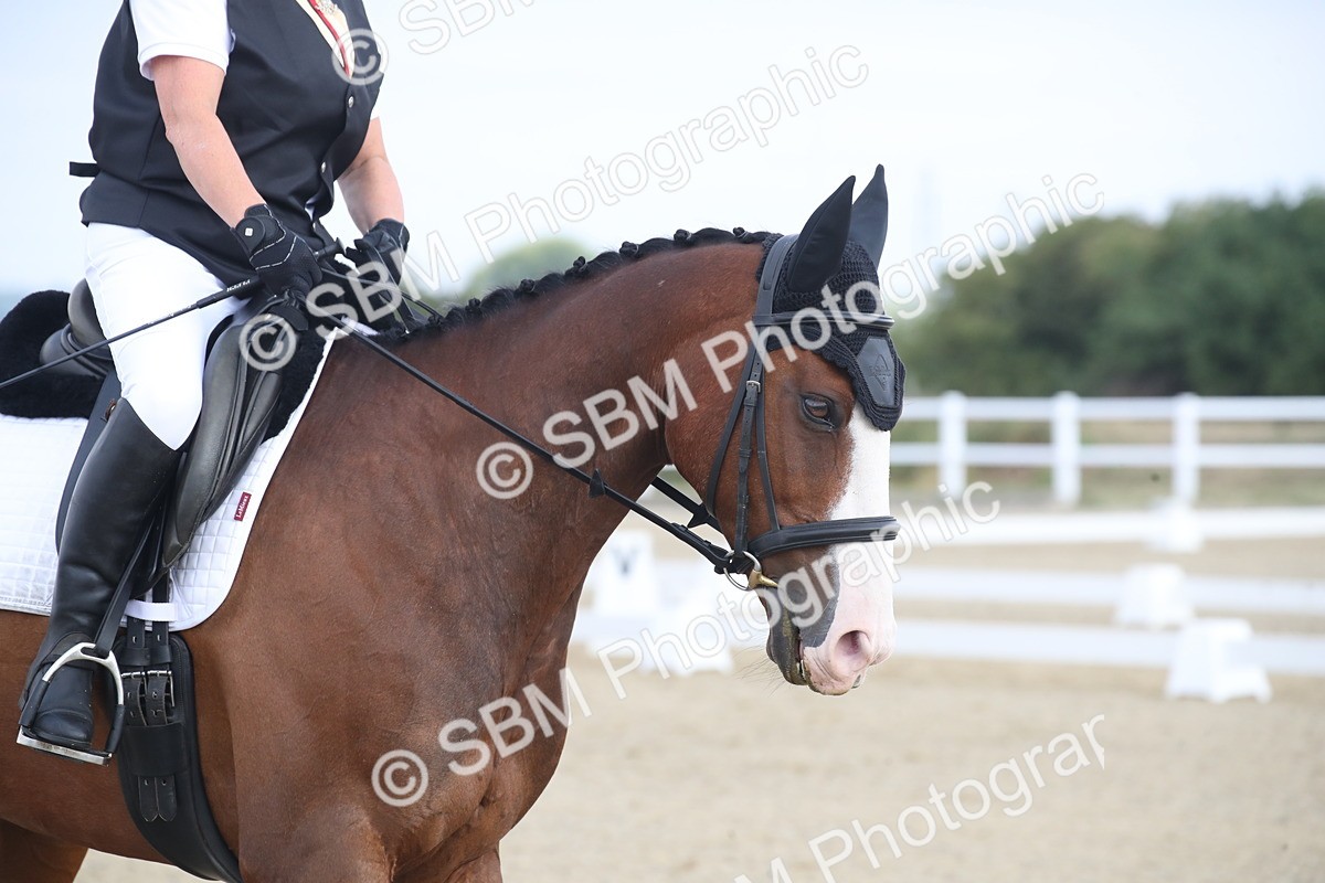 SBM_005362 - Novice 5 - 8.30.10.39