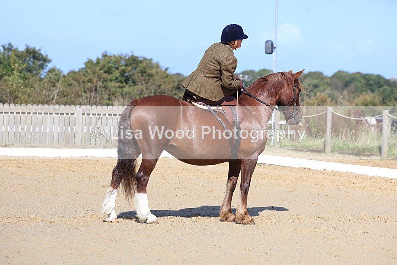 3E7A2806 - Class 4: Prelim 6 Section A Championship