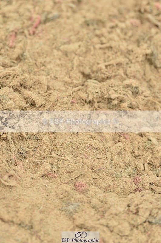 230611A-095116-04621 - Cls 31 British Novice & Open