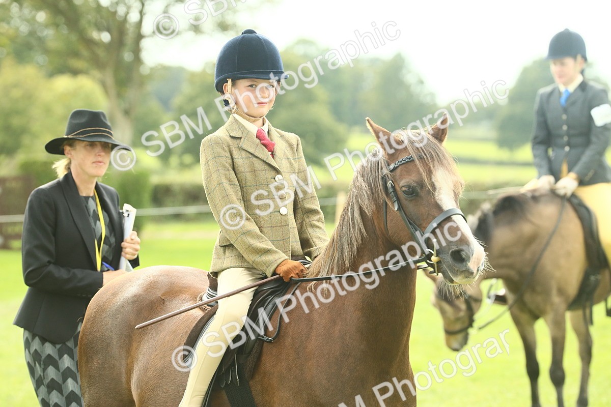 SBM_69875 - S59 - Mountain & Moorland Ridden Small Breeds