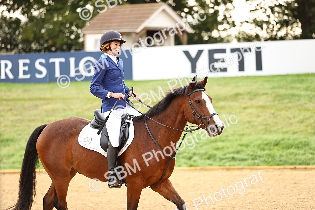 SBM_58246 - J41 - Grand Tour Horse & Pony 95cm