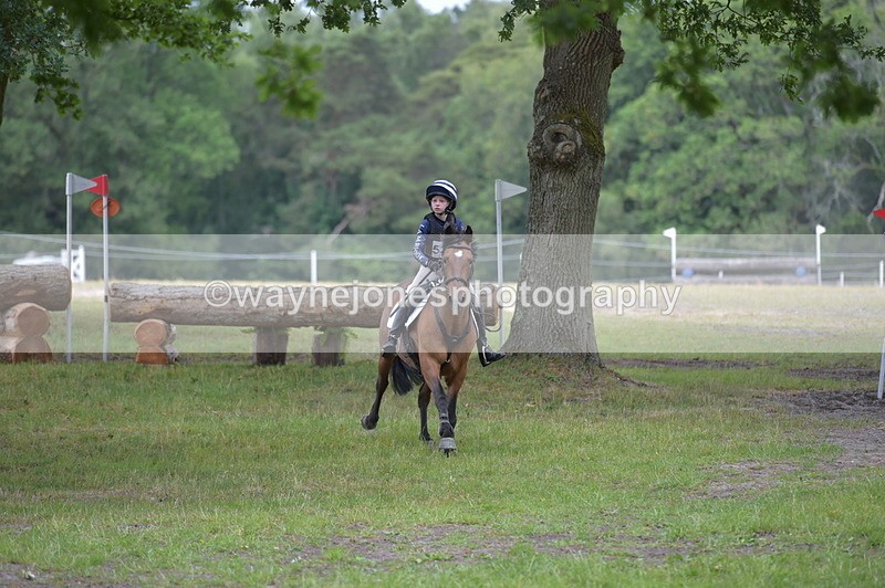 NGP_9164 - Time 12:34 to 12:37