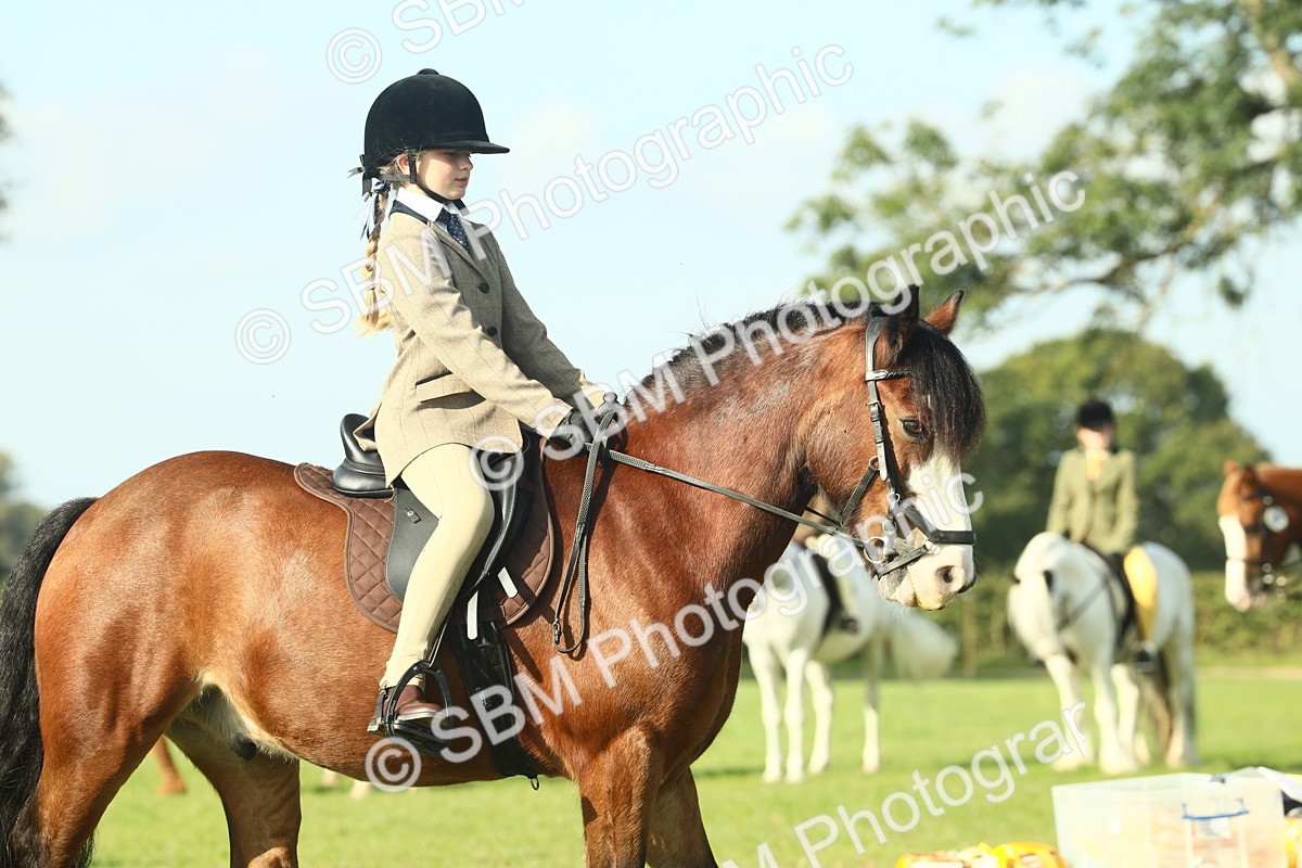 SBM_59918 - S38 - Starters Ridden Showing