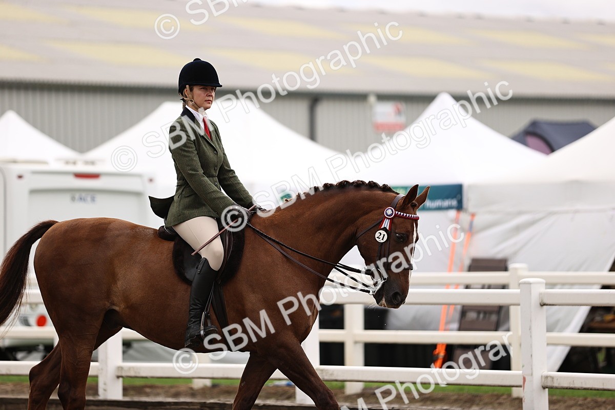 SBM_00519 - Class 53 - Ridden Competition Horse Pony