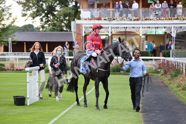 yr23072021r6-29 - Race 6 8.30pm Sky Bet Go-Racing-In-Yorkshire Summer Festival Stakes