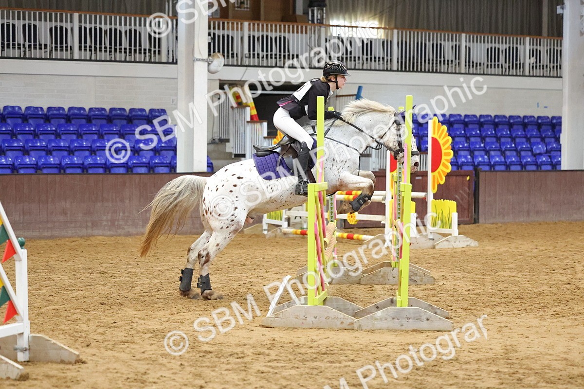SBM_001895 - Class 5 - Show Jumping 80cm