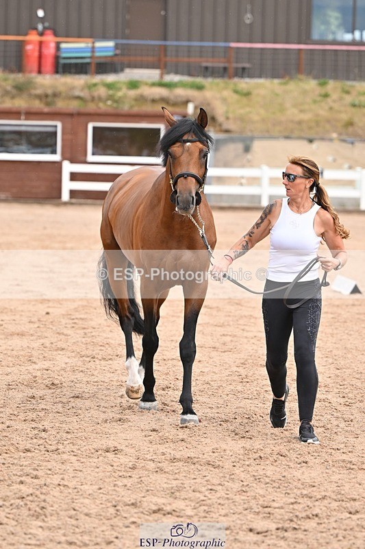 250716-151320-01788 - Trot Up 2.30 to 3.30