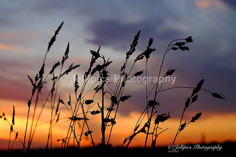  - Landscapes