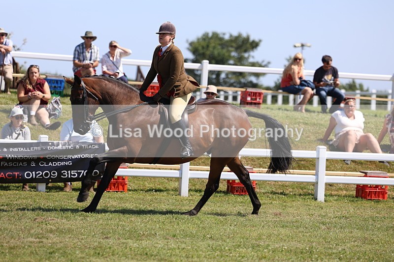 3E7A7595 - Rising Star Ridden Championship