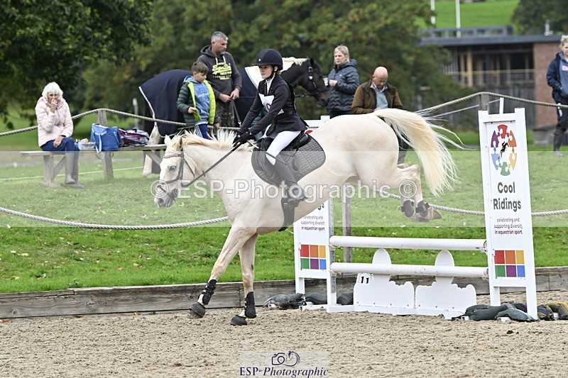 251005A-124955-03910 - Cls 08 Mini 70-75cm