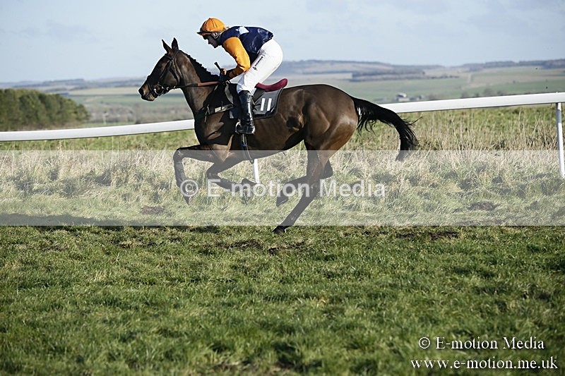 PtP 070118 -325 - Larkhill Racing Club Point to Point Larkhill 07/01/2018