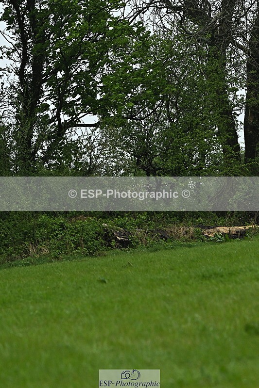 250418-160850-07107 - 324-Tommy.Marsden-HARD.KNOCK.LIFE