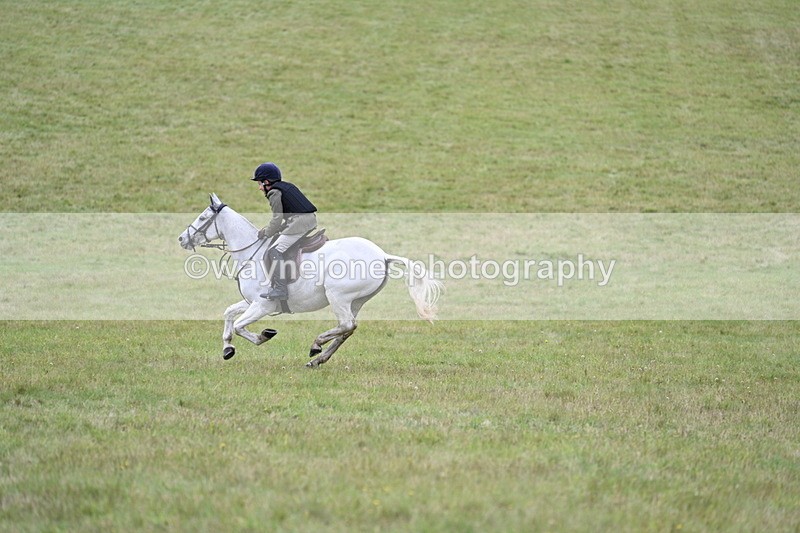 WJ7_4247 - Camera 1 Line 2