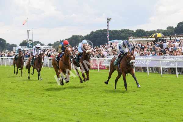 250823-Race 2-Coltrane-0330 - Race 2 2.25pm Weatherbys Hamilton Lonsdale Cup Stakes