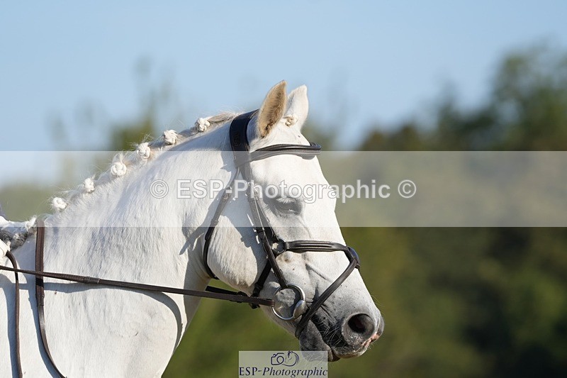 250823A-083554-25530 - Arena A