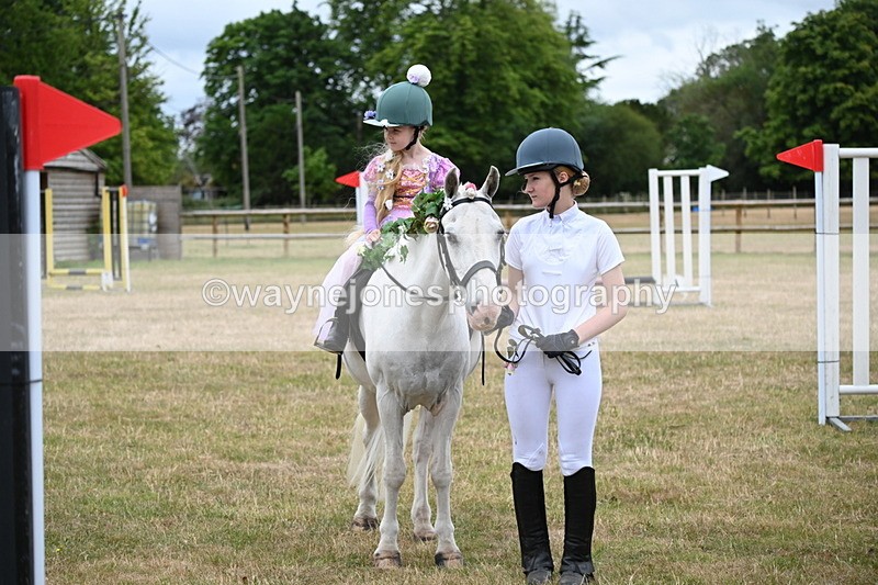 WJ6_4908 - Class 11 Fancy Dress